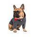 Худі Pet Fashion «Snoodie» для собак, розмір S, сірий 1111165367 фото 3