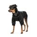 Толстовка Pet Fashion Ukraine для собак, розмір XS, чорна 1111174515 фото 2