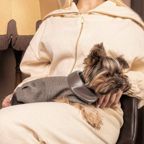 Жакет Pet Fashion «Harry» для собак, розмір XS, коричневий 1111171993 фото