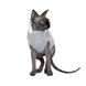 Светр Pet Fashion «Cat» для кота, розмір XXS, меланж 1111171613 фото 2