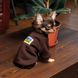 Толстовка Pet Fashion Made in Ukraine для собак чорна з принтом M 1111174516 фото 3