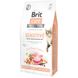 Корм сухий Brit Care Cat Grain Free Sensitive HDigestion Delicate Taste для дорослих котів з чутливим травленням з індичкою та лососем 7 кг 1111162351 фото 1