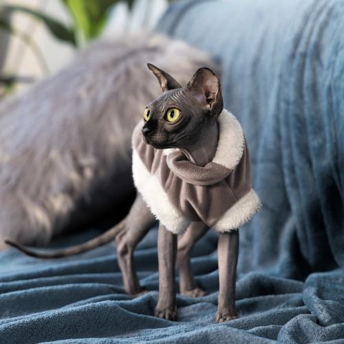 Светр Pet Fashion «Tom» для кота, розмір XS, капучіно 1111170866 фото