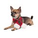 Шарф Pet Fashion Happy для собак M-XL 1111165971 фото 3