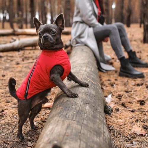 Жилет Pet Fashion «E.Vest» для собак, розмір XS, червоний 1111166434 фото