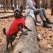 Жилет Pet Fashion «E.Vest» для собак, розмір XS, червоний 1111166434 фото 4