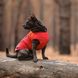 Жилет Pet Fashion «E.Vest» для собак, розмір XS, червоний 1111166434 фото 5