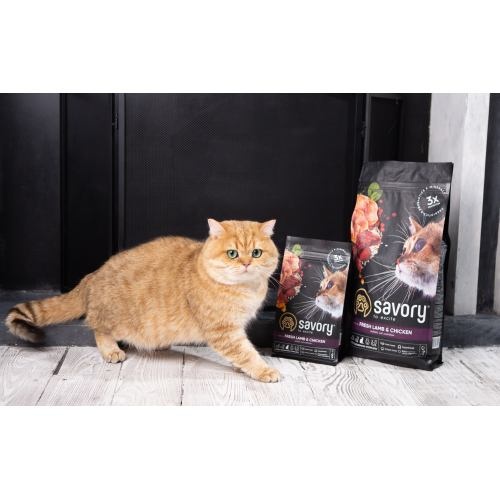 Корм сухий Savory Adult Cat Steril Fresh Lamb and Chicken для стерилізованих котів з ягнятиною та куркою 2 кг 1111163004 фото