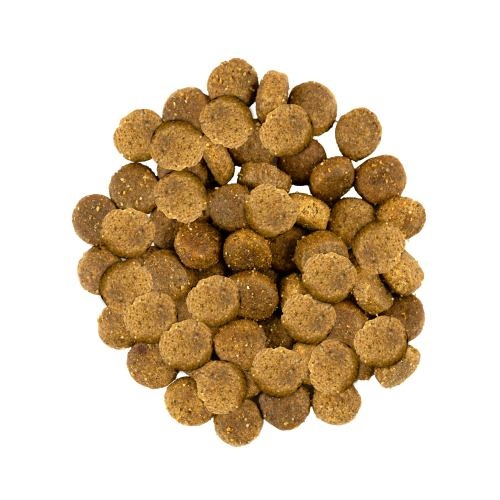 Корм сухий Savory Medium Breed rich in Fresh Turkey and Lamb для дорослих собак середніх порід від 10 до 25 кг зі свіжим ягням та індичкою 3 кг 1111162979 фото