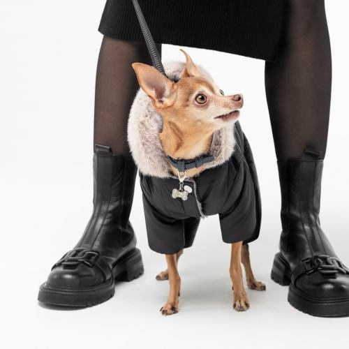 Костюм Pet Fashion «Black» для собак, розмір XS, чорний 1111168855 фото