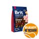 Сухий корм Brit Premium Dog Adult L для дорослих собак великих порід, з куркою, 3 кг 1111150963 фото 1