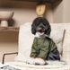 Дощовик Pet Fashion JIMI для собак хакі сірий М 1111174484 фото 6