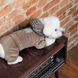 Костюм Pet Fashion «Soft» для собак, розмір XS, коричневий (лімітована серія) 1111174677 фото 6